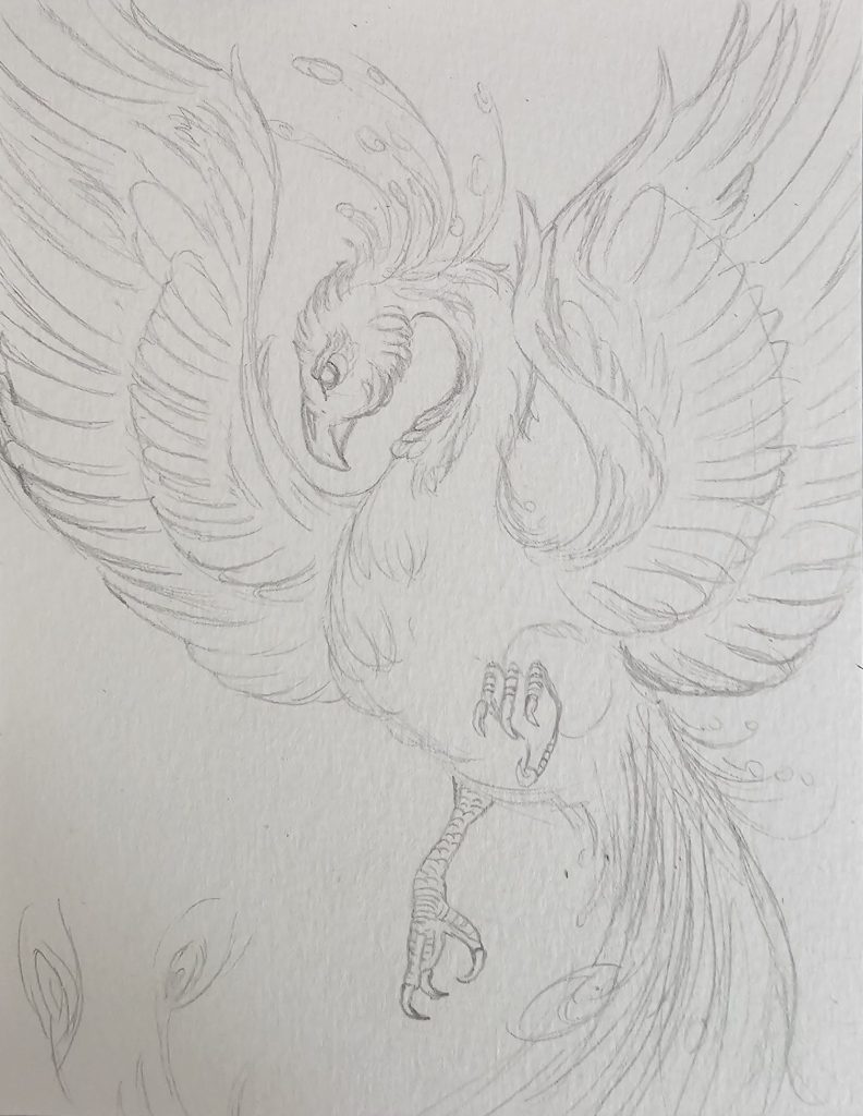 sketch phoenix ameline vitali